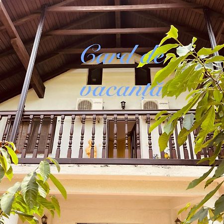 Presidential Apartment Suceava Dış mekan fotoğraf